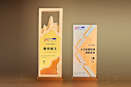 南宫NG28(中国)国际一举斩获“2024年度中国区最佳雇主”等多项大奖