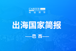 南宫NG28(中国)GO GLOBAL | 巴西国家简报