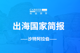 南宫NG28(中国)GO GLOBAL | 沙特阿拉伯国家简报